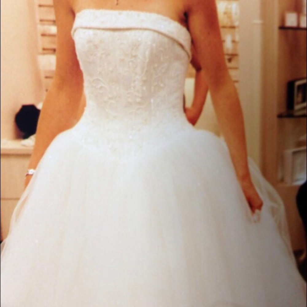 Michaelangelo Princess Style Wedding Dress